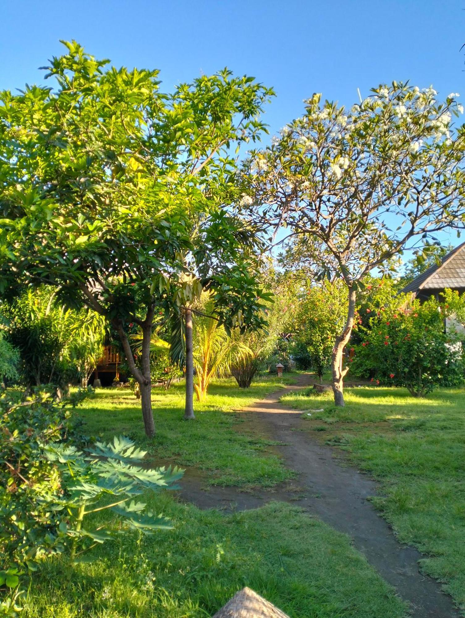 Tangga Bungalows Gili Air Oda fotoğraf