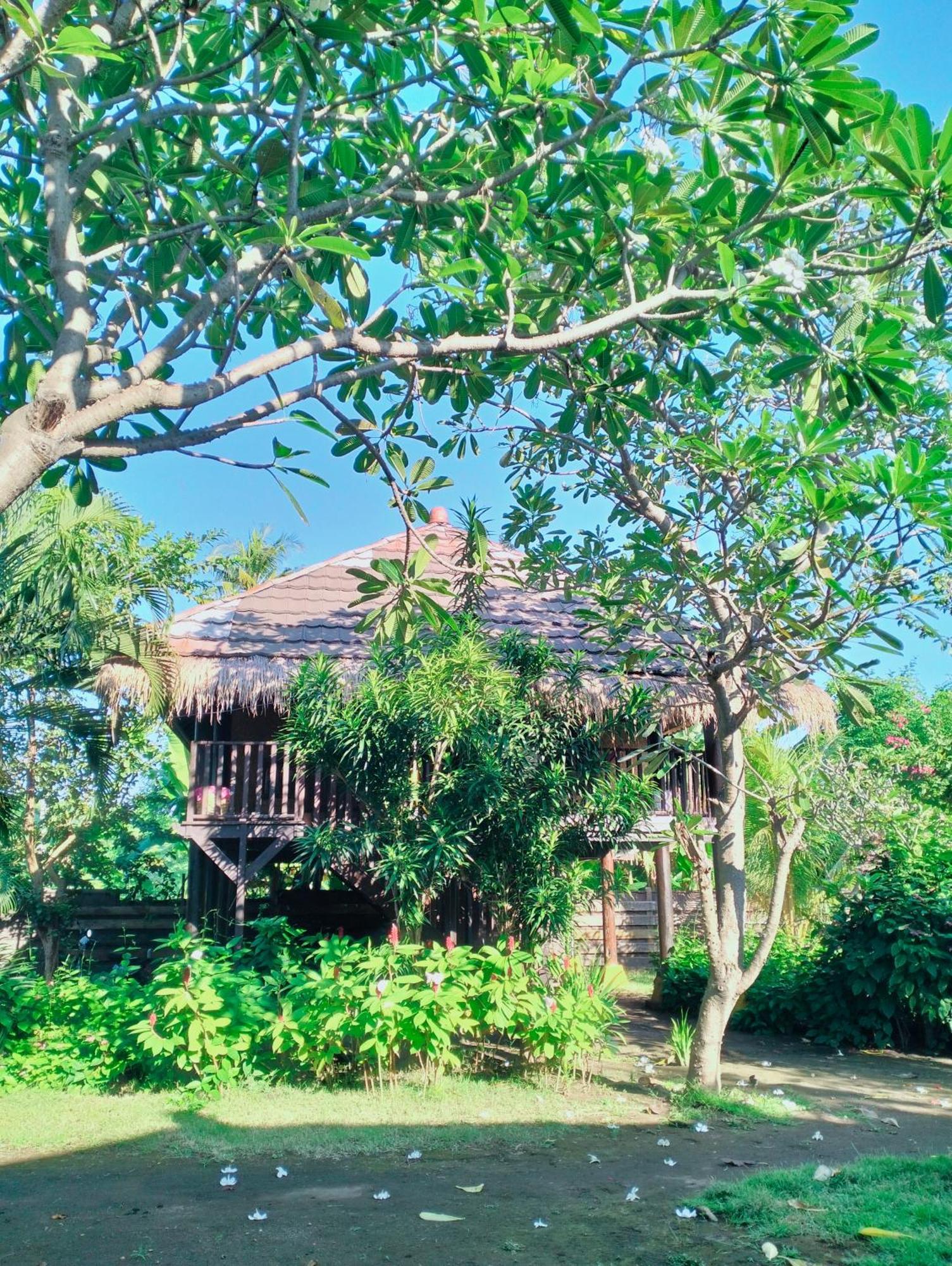 Tangga Bungalows Gili Air Oda fotoğraf